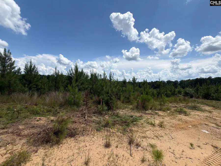 BTF 3 Bradley Trail, Mount Pisgah, SC 29067 - #2