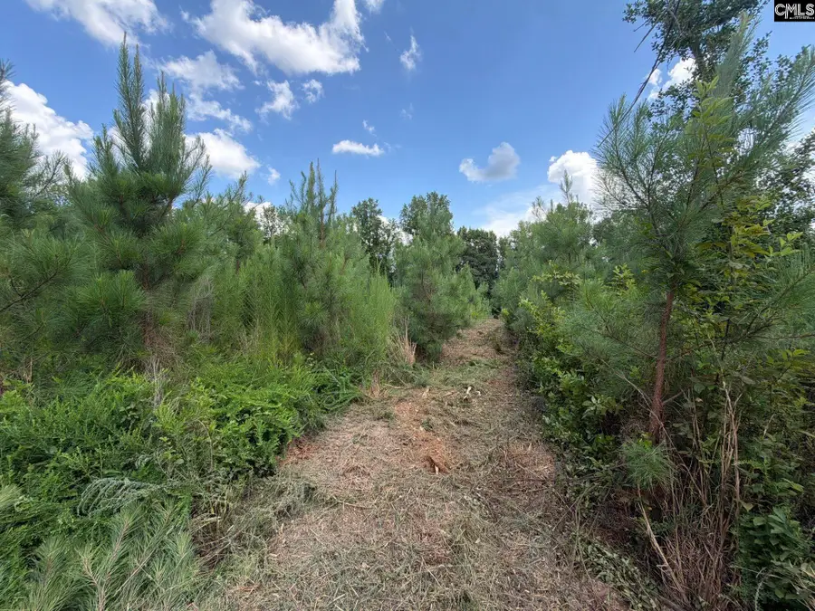 BTF 3 Bradley Trail, Mount Pisgah, SC 29067 - #3