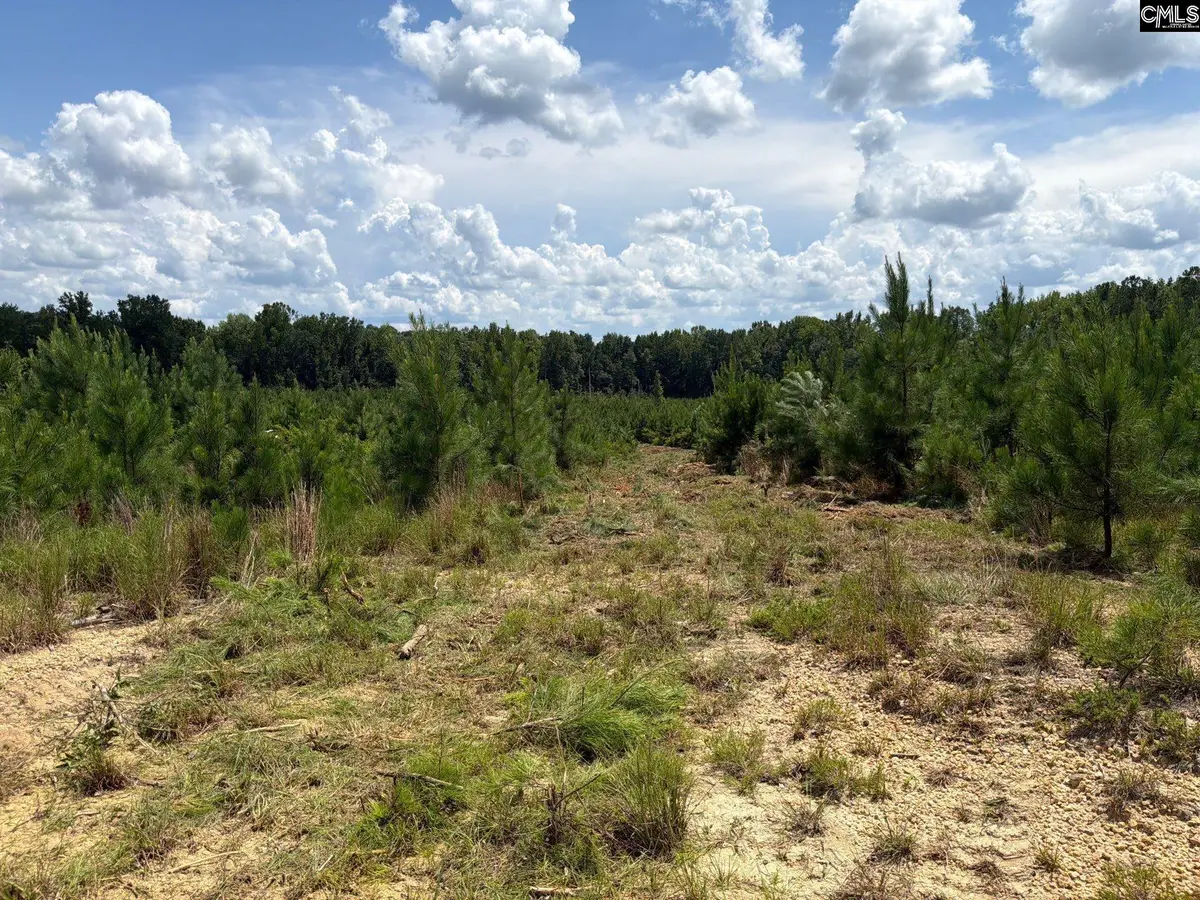 BTF 4 Bradley Trail, Mount Pisgah, SC 29067 - #1