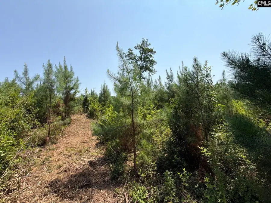 BTF 4 Bradley Trail, Mount Pisgah, SC 29067 - #2