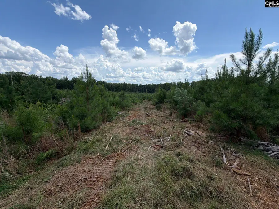 BTF 4 Bradley Trail, Mount Pisgah, SC 29067 - #3