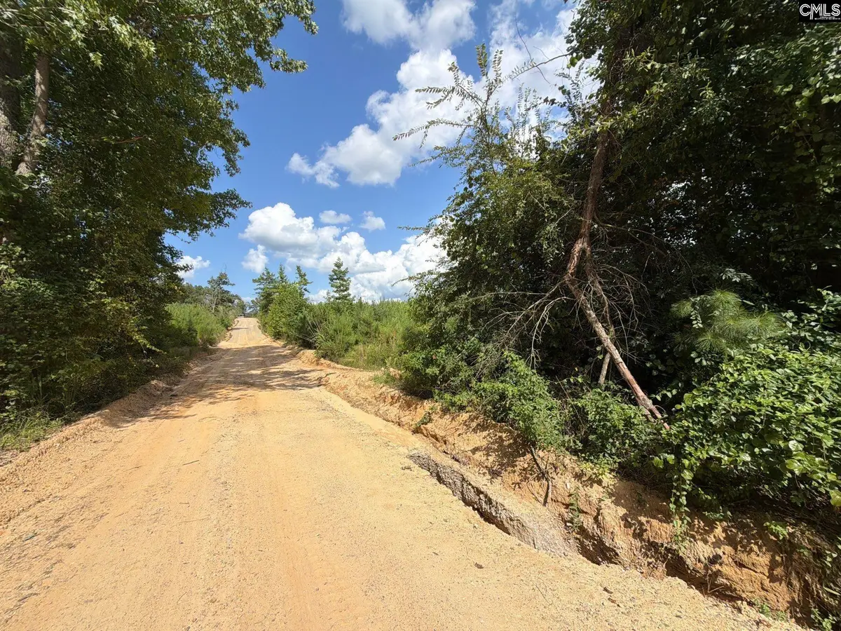BTF 5 Bradley Trail, Mount Pisgah, SC 29067 - #1