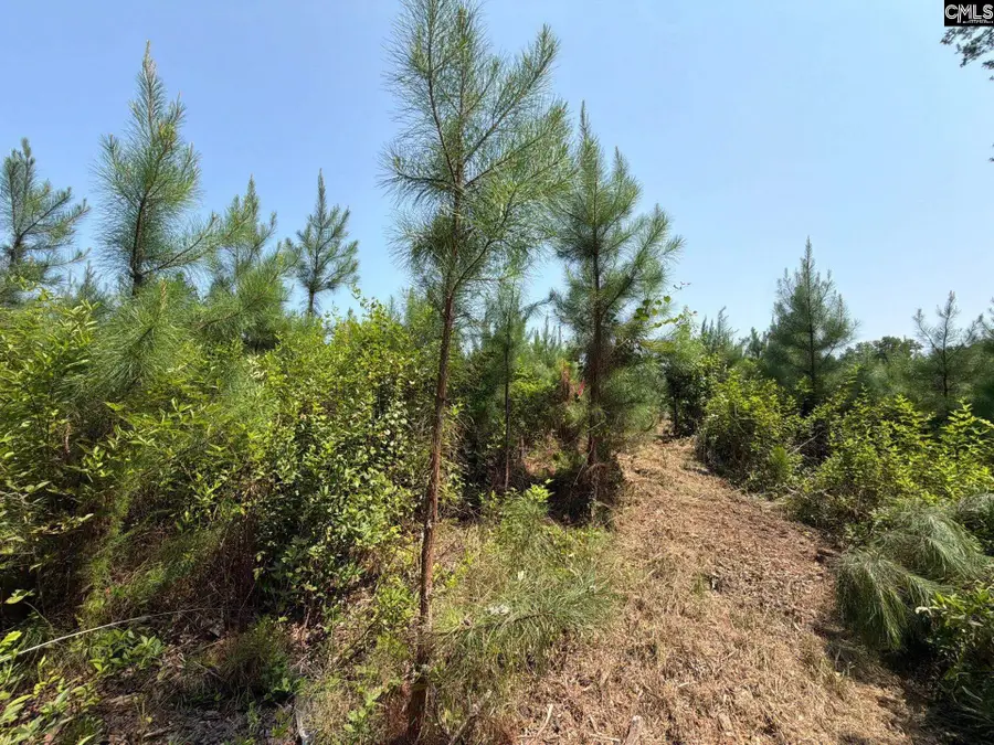 BTF 5 Bradley Trail, Mount Pisgah, SC 29067 - #2