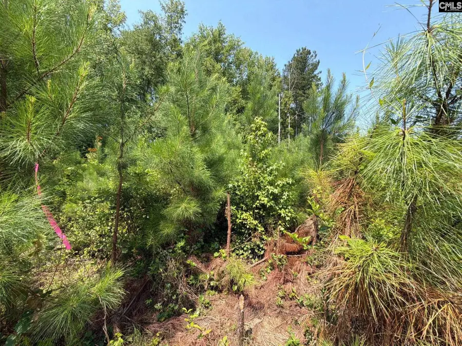 BTF 5 Bradley Trail, Mount Pisgah, SC 29067 - #3
