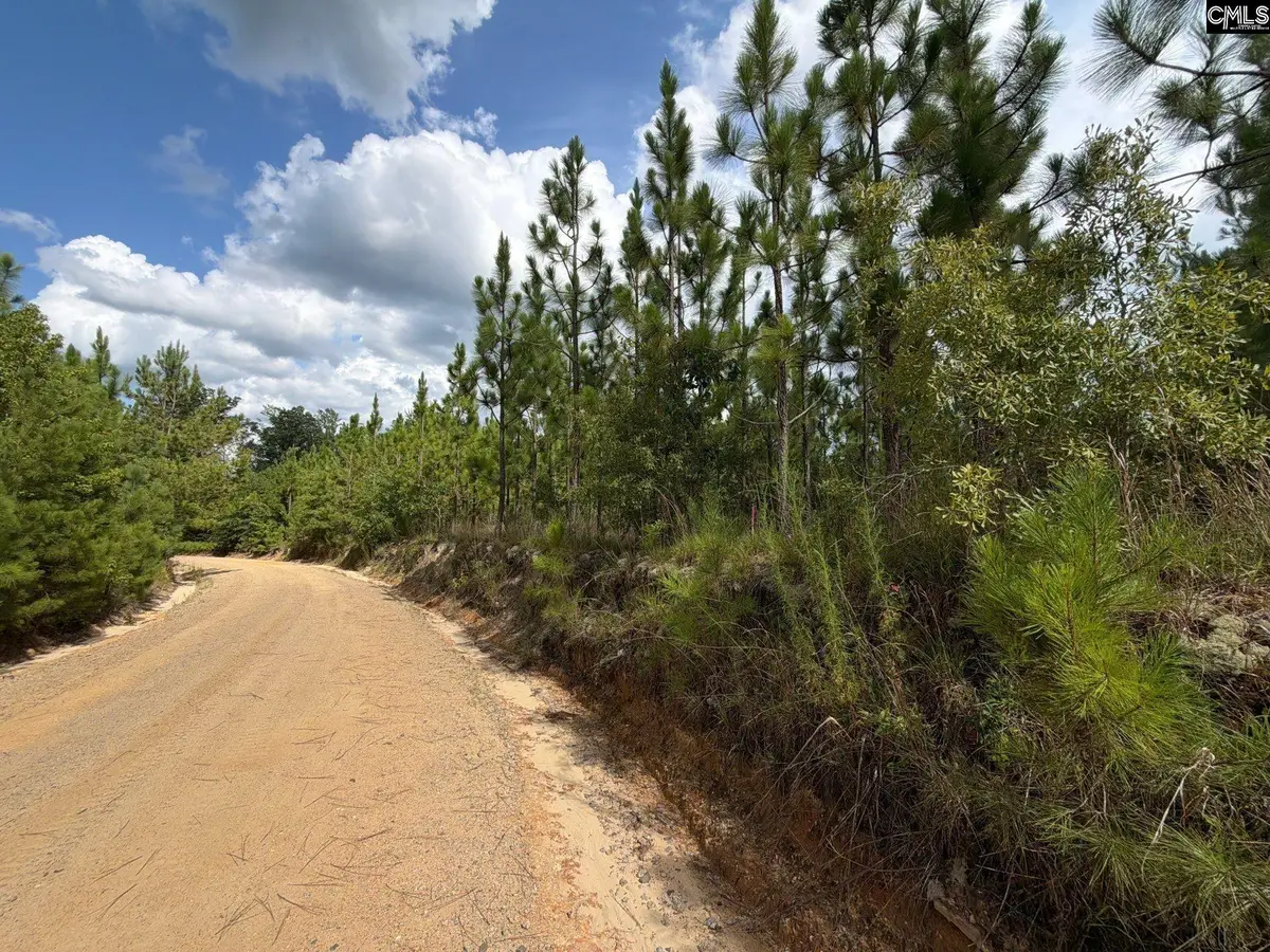 BTF 6 Bradley Trail, Mount Pisgah, SC 29067 - #1