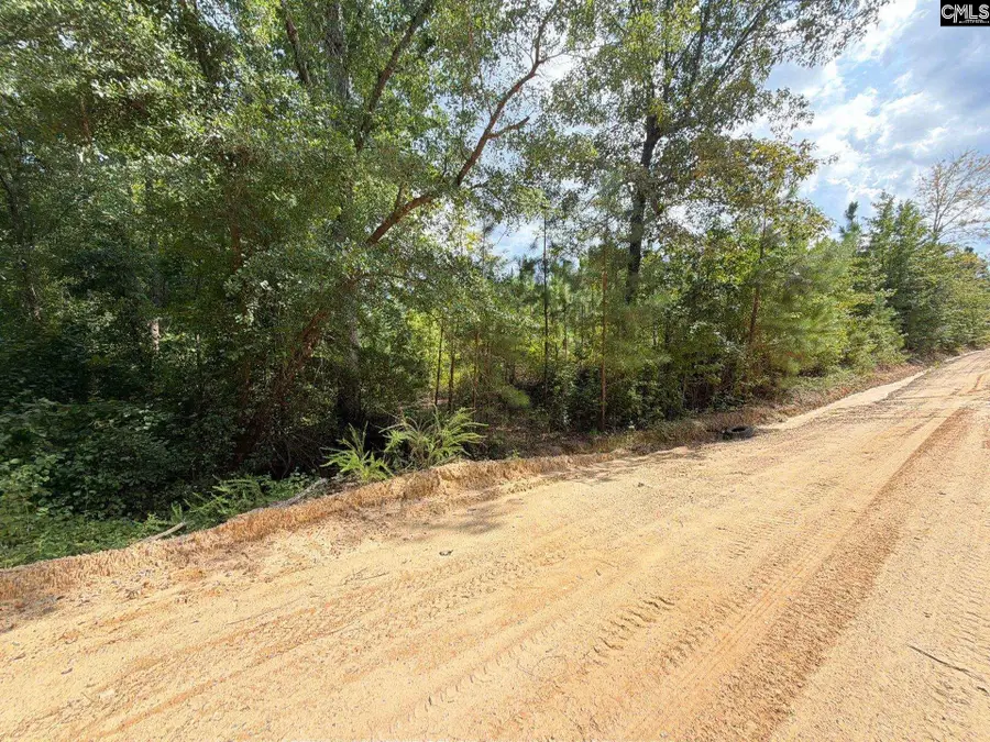 BTF 6 Bradley Trail, Mount Pisgah, SC 29067 - #2