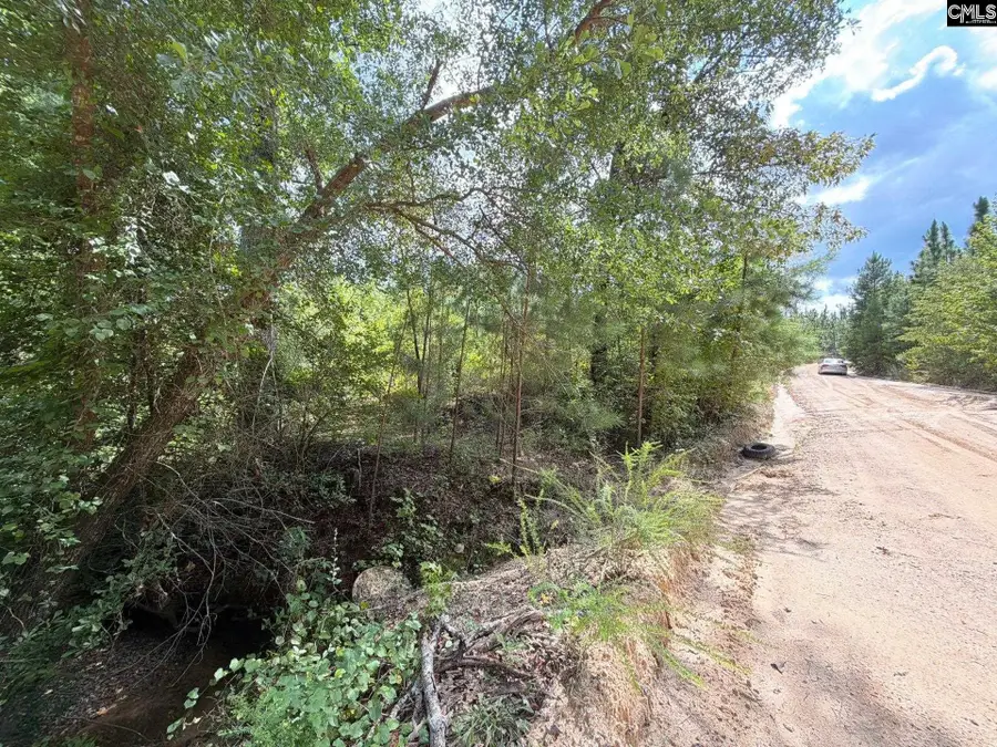 BTF 6 Bradley Trail, Mount Pisgah, SC 29067 - #3