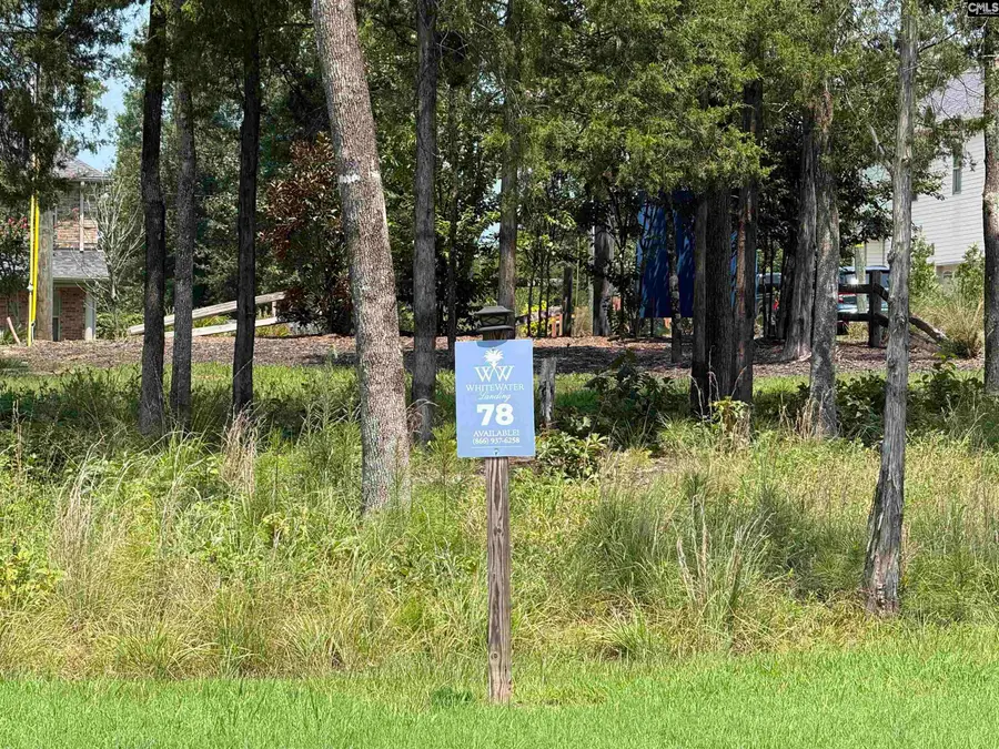 Lot 78 Elms Spinney Lane, Chapin, SC 29036 - #2