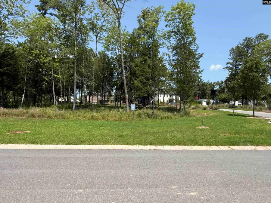 Lot 78 Elms Spinney Lane, Chapin, SC 29036 - #3