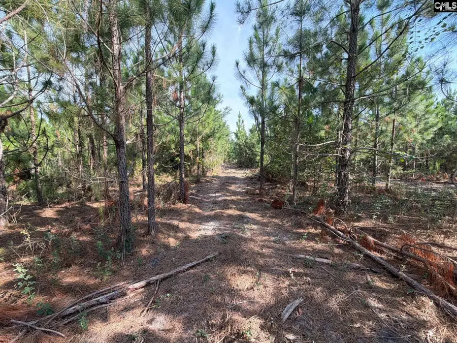 BTF 7 Bradley Trail, Mount Pisgah, SC 29067 - #2