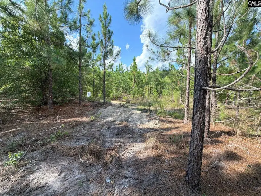 BTF 7 Bradley Trail, Mount Pisgah, SC 29067 - #3