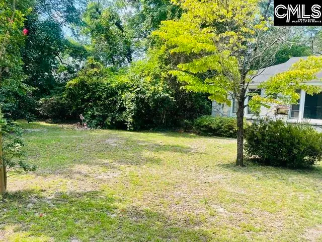 215 Greenwood Road, West Columbia, SC 29169 - #2