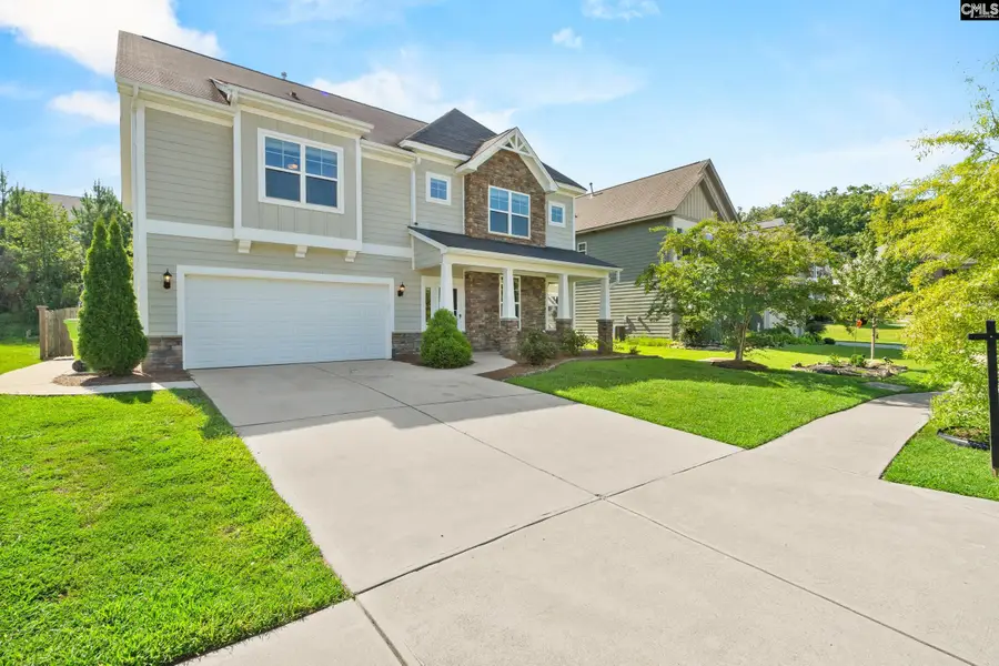425 Maria Posada Court, Chapin, SC 29036 - #2