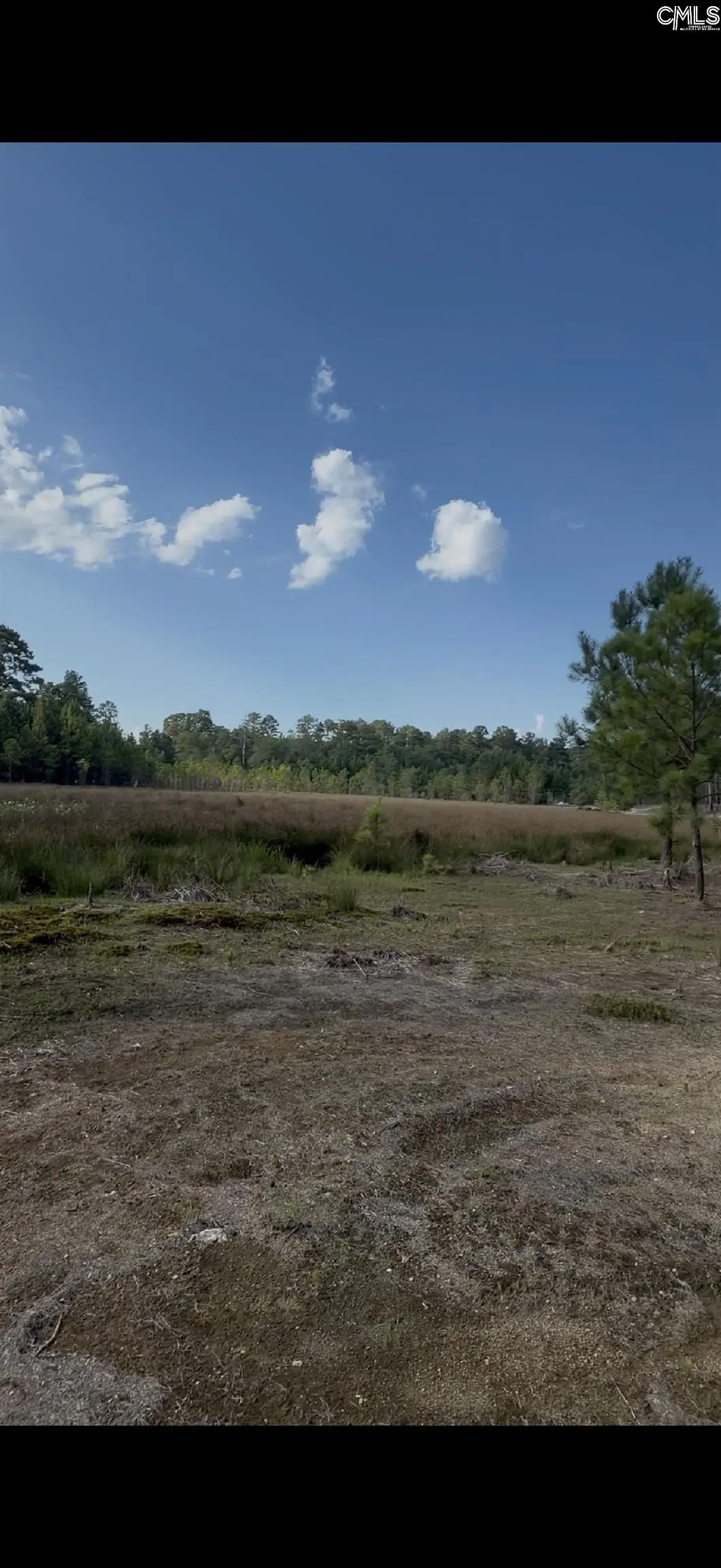 Duck Pond Road, Gaston, SC 29053 - #1