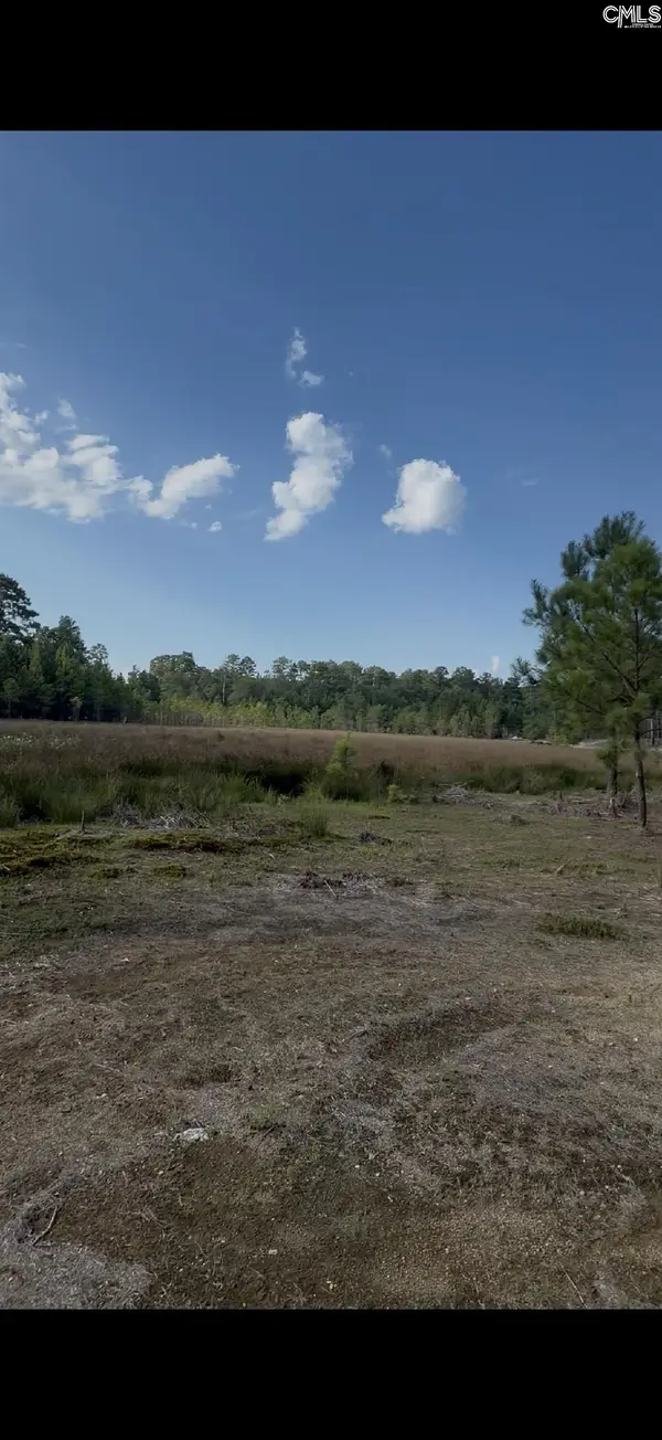 Duck Pond Road, Gaston, SC 29053