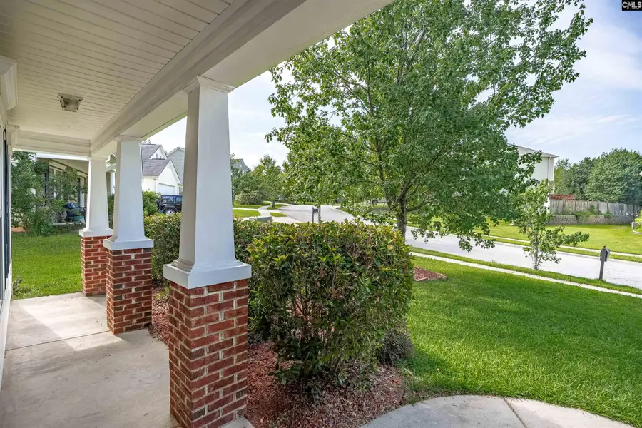 516 Foxstone Drive, Chapin, SC 29036 - #3