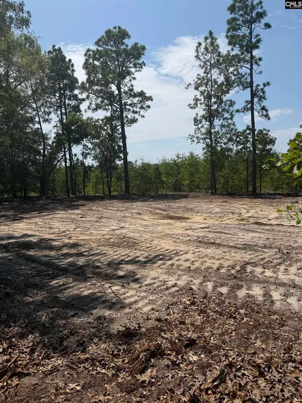 Lot 1 Patrick Highway, Hartsville, SC 29550