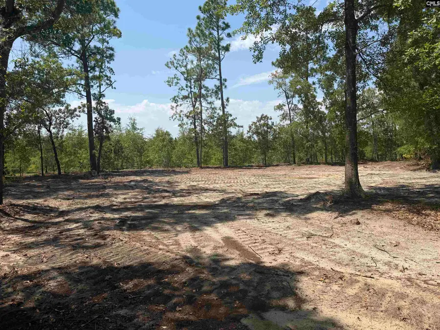 Lot 1 Patrick Highway, Hartsville, SC 29550 - #2