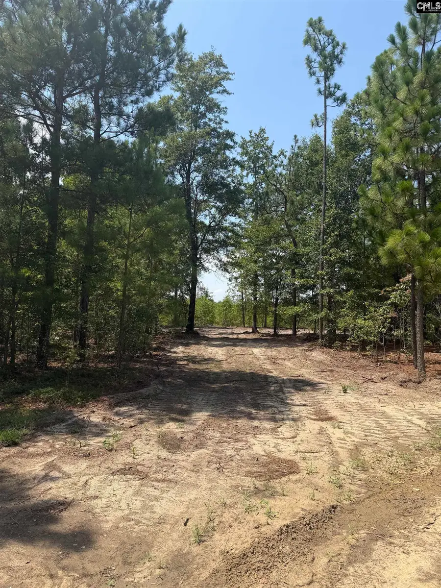 Lot 1 Patrick Highway, Hartsville, SC 29550 - #3
