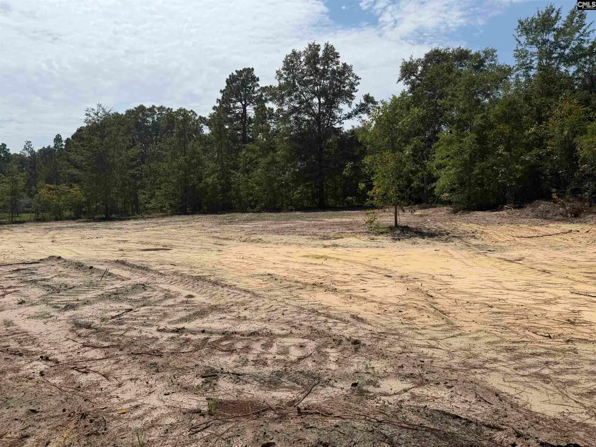 Lot 2 Patrick Highway, Hartsville, SC 29550 - #1