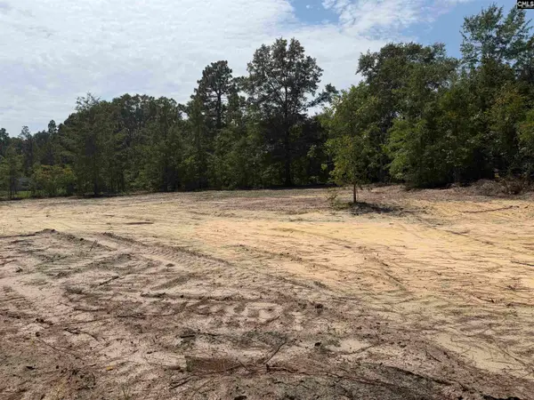 Lot 2 Patrick Highway, Hartsville, SC 29550