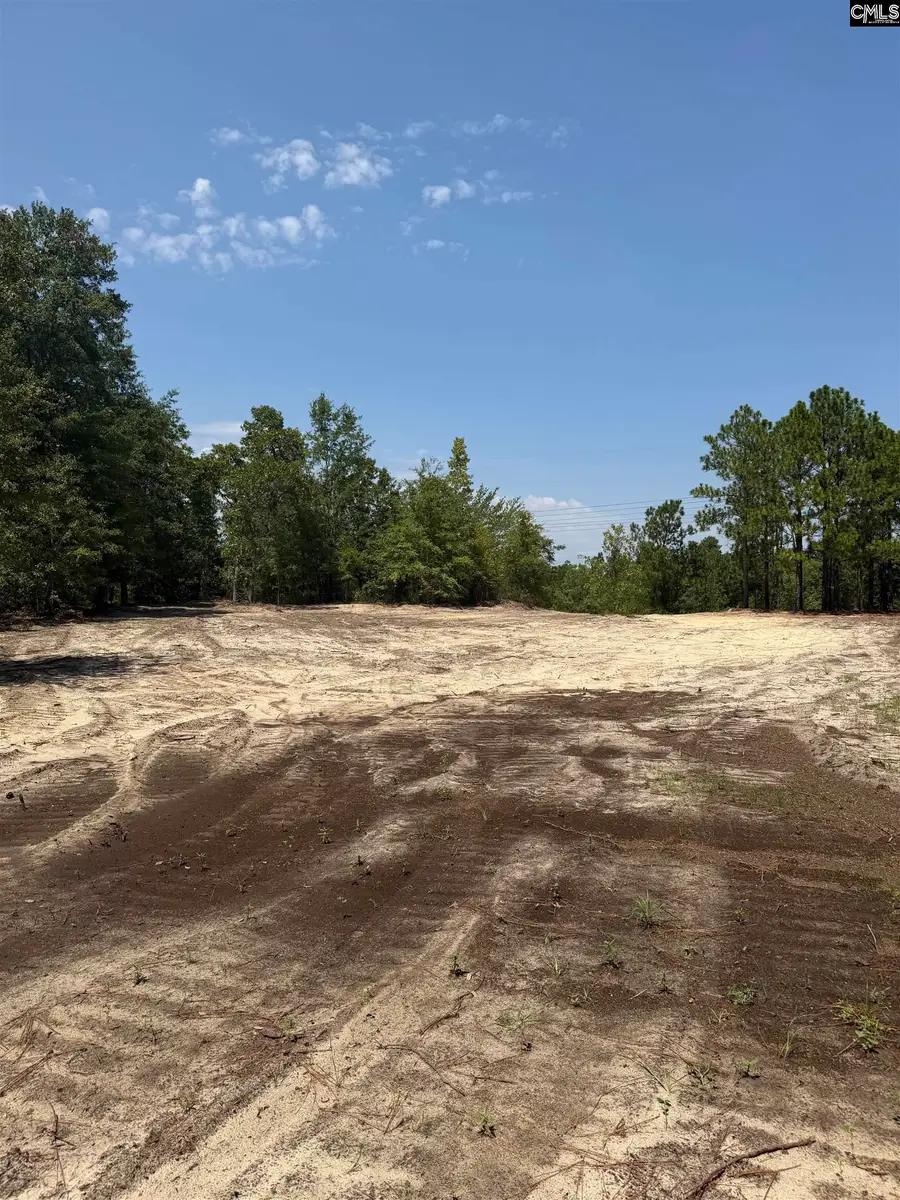Lot 2 Patrick Highway, Hartsville, SC 29550 - #2
