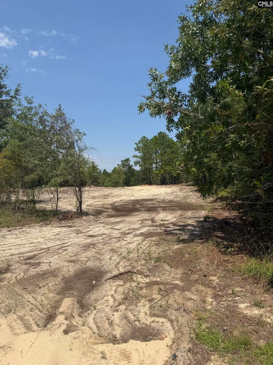 Lot 2 Patrick Highway, Hartsville, SC 29550 - #3