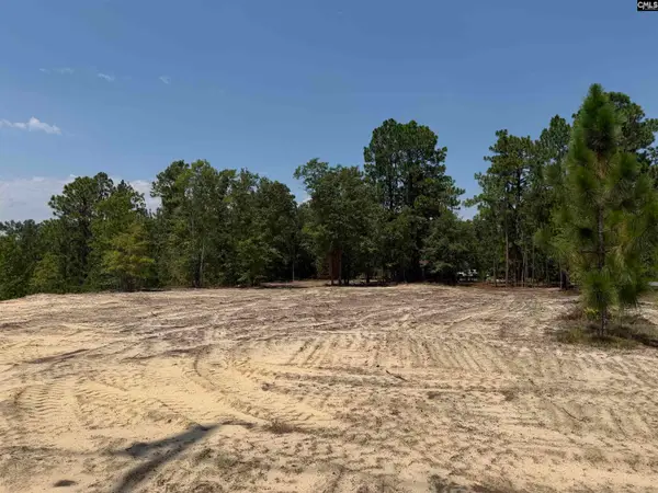 Lot 3 Patrick Highway, Hartsville, SC 29550