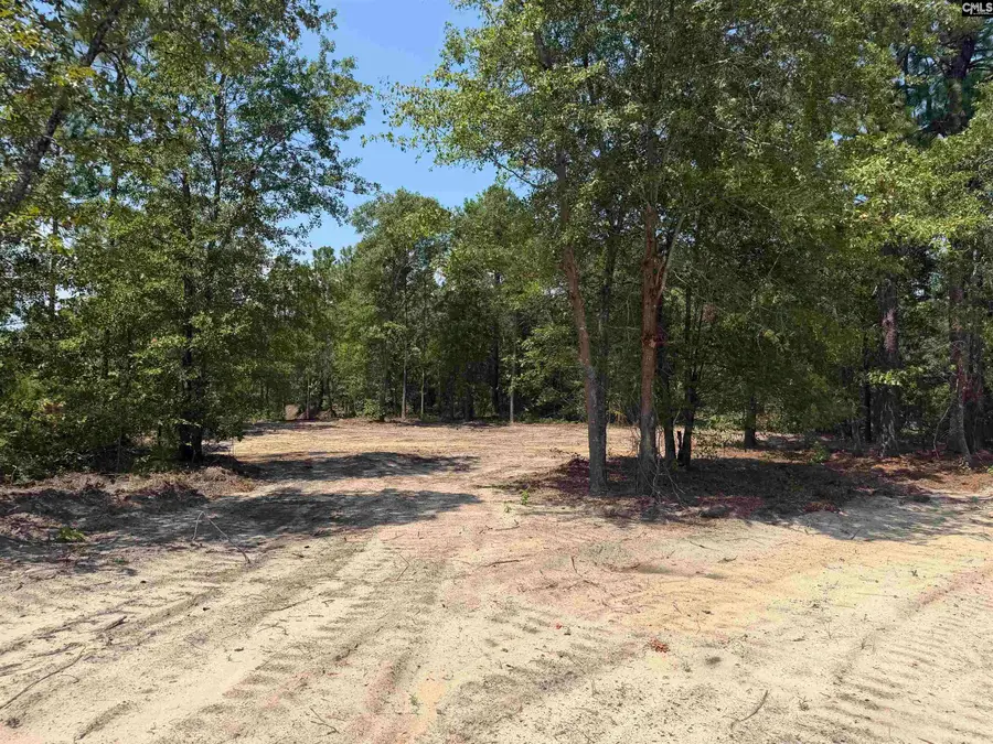 Lot 3 Patrick Highway, Hartsville, SC 29550 - #2