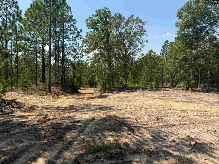 Lot 3 Patrick Highway, Hartsville, SC 29550 - #3