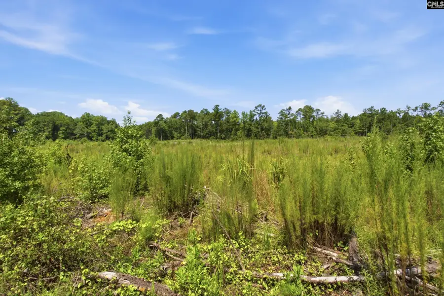 3390 Hunter Road #LOT 2, Kershaw, SC 29067 - #2