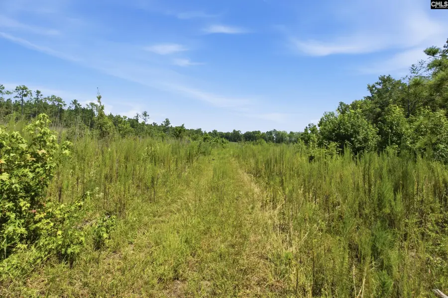 3390 Hunter Road #LOT 2, Kershaw, SC 29067 - #3