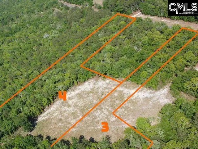 04 Browns Pond Road, Wagener, SC 29164 - #2