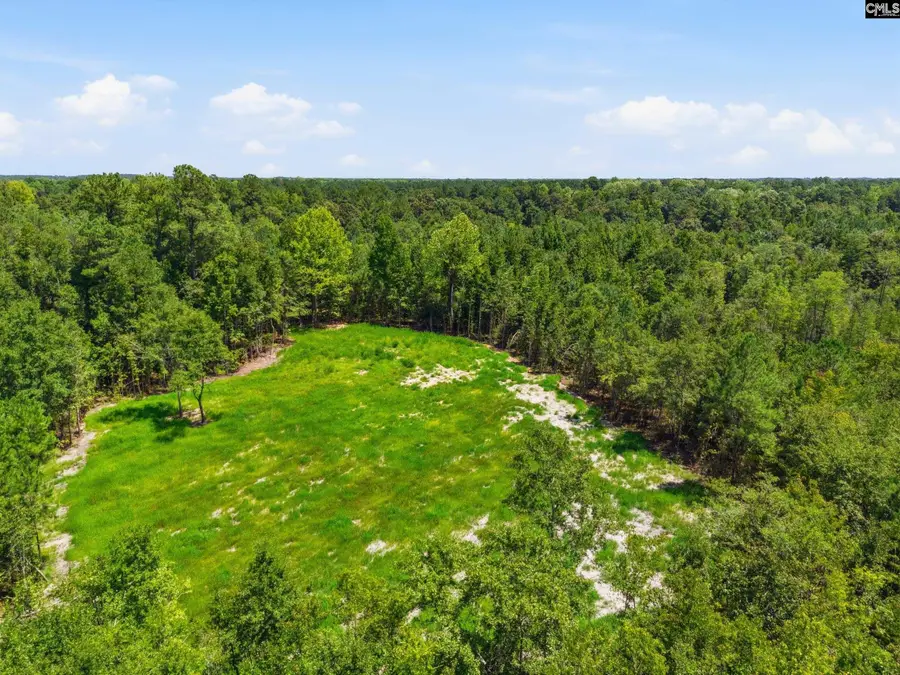 1 Mcalhany Road, Branchville, SC 29432 - #2