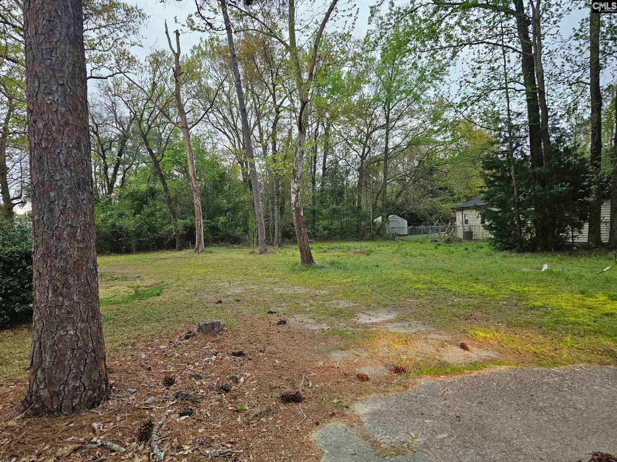 3025 Platt Springs Road, West Columbia, SC 29170 - #1