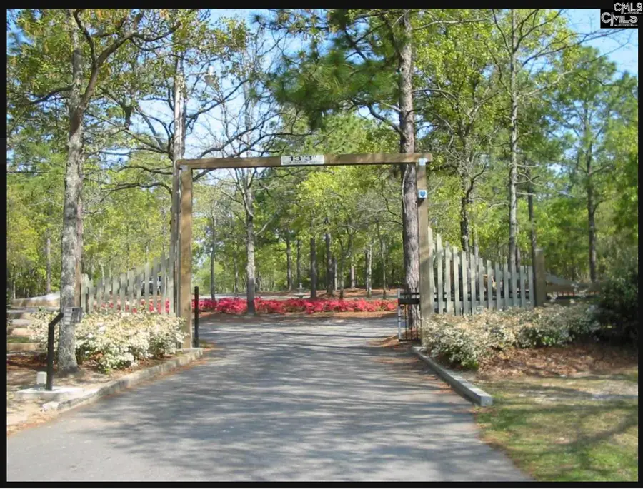 Edisto Lake Road #LOT B, Wagener, SC 29164 - #2