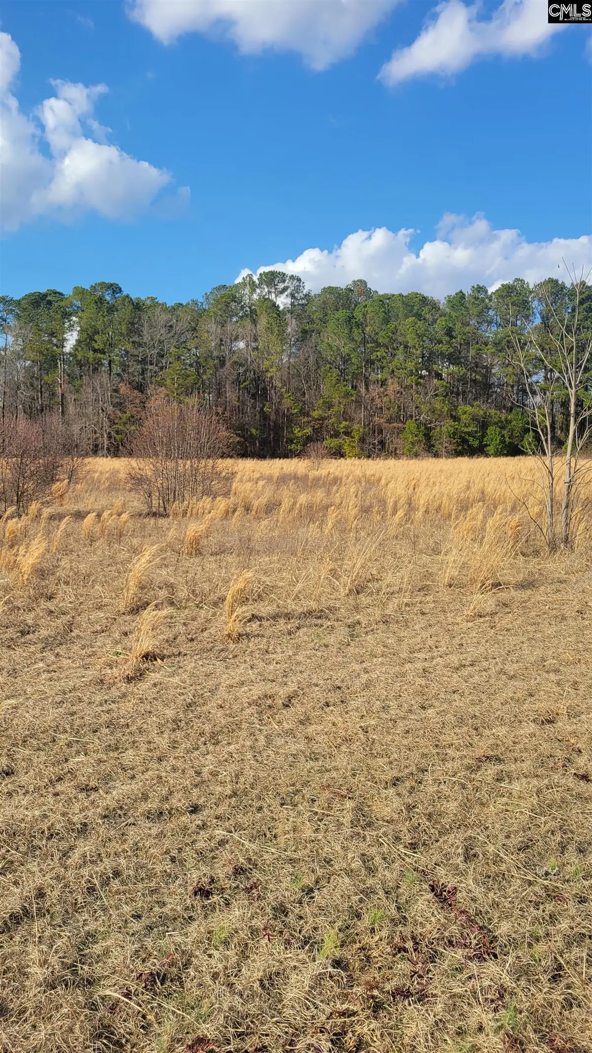 0 Old Sandy Run Road, Gaston, SC 29053 - #1