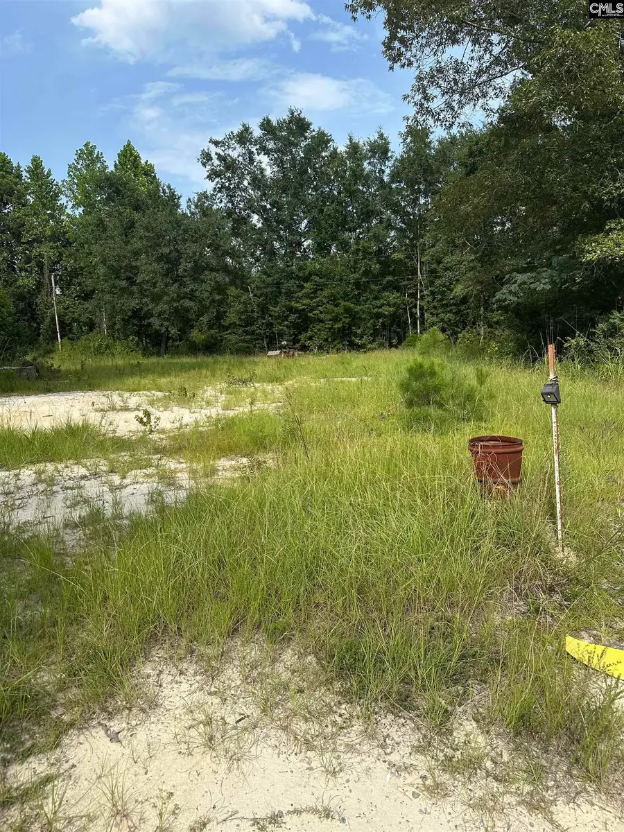 1219 Goffman Road, Eastover, SC 29044 - #2