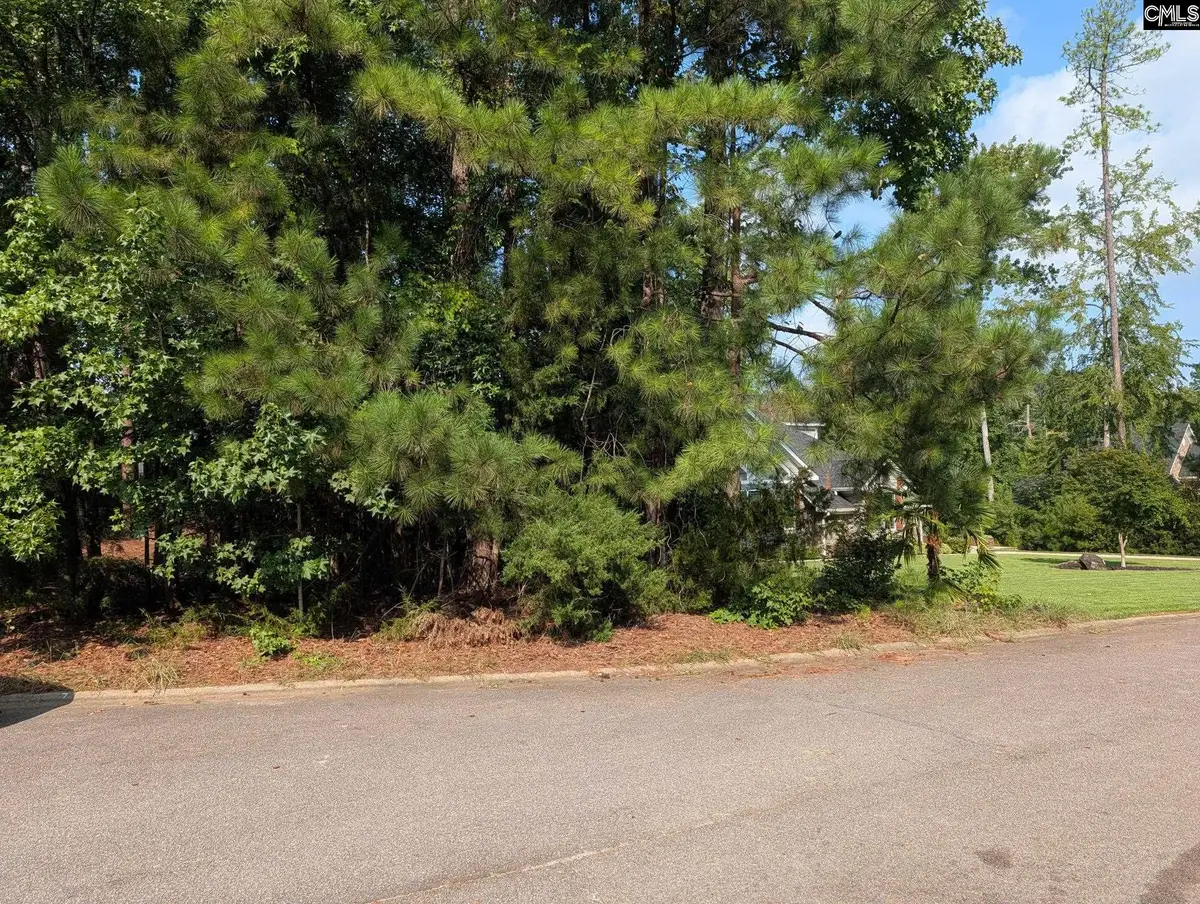 614 Golf Links Court, Chapin, SC 29036 - #1