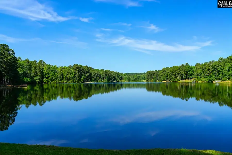 115 Divinci Road, Swansea, SC 29160 - #2