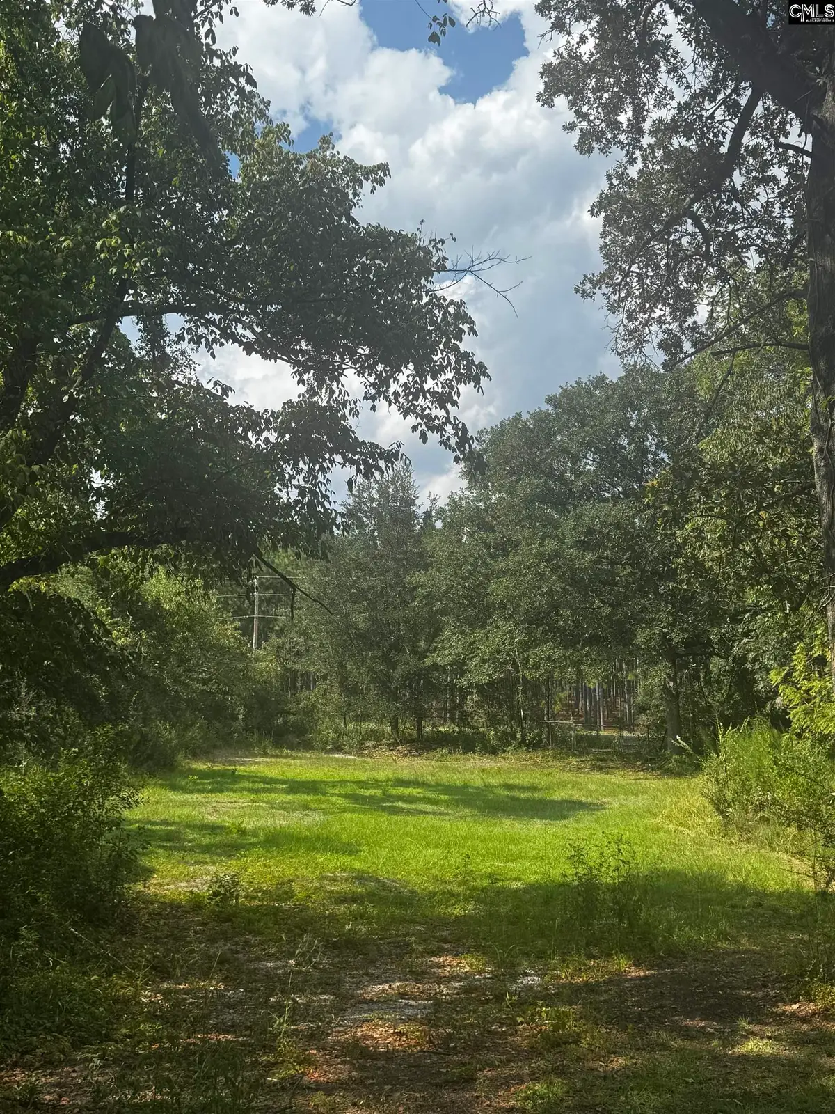 116 Rob Teal Road, Patrick, SC 29584 - #1