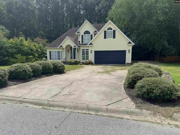 116 Rum Gully Lane, Chapin, SC 29036
