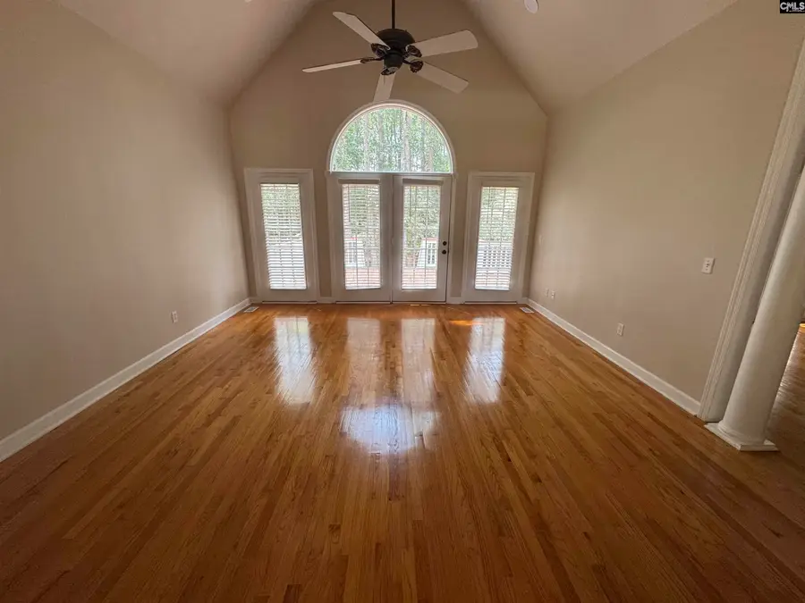 116 Rum Gully Lane, Chapin, SC 29036 - #3