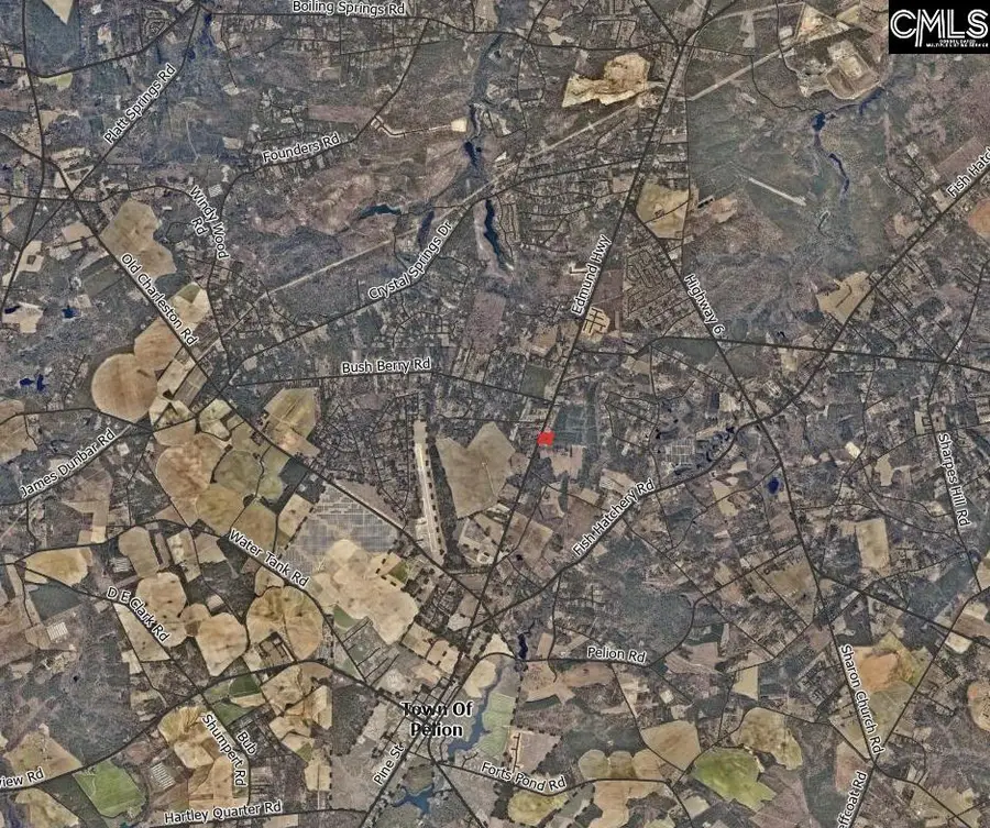 Edmund Hwy, Pelion, SC 29123 - #3
