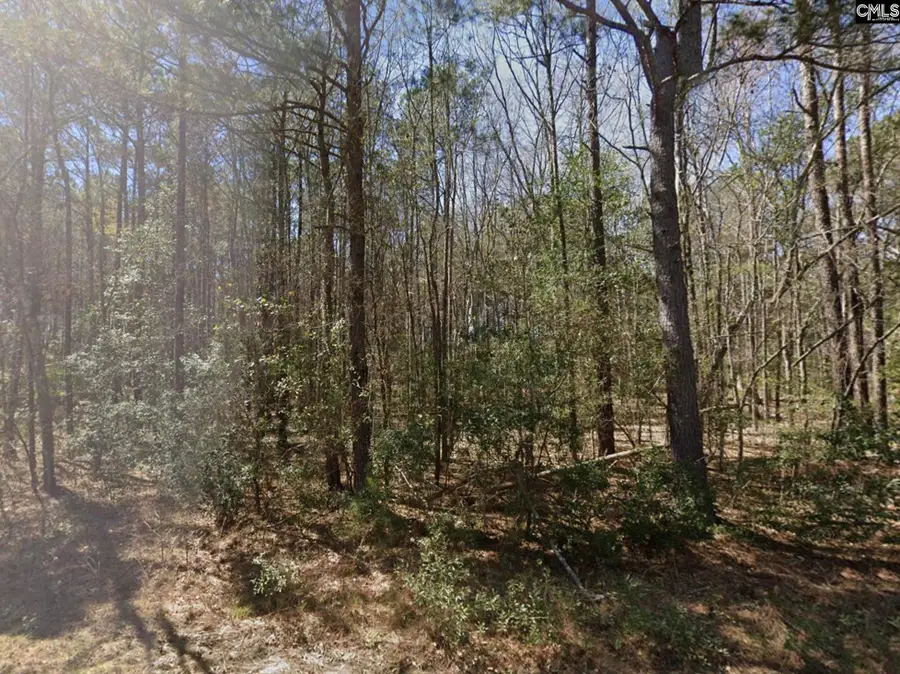 0 Barnhart Road, Orangeburg, SC 29115 - #2