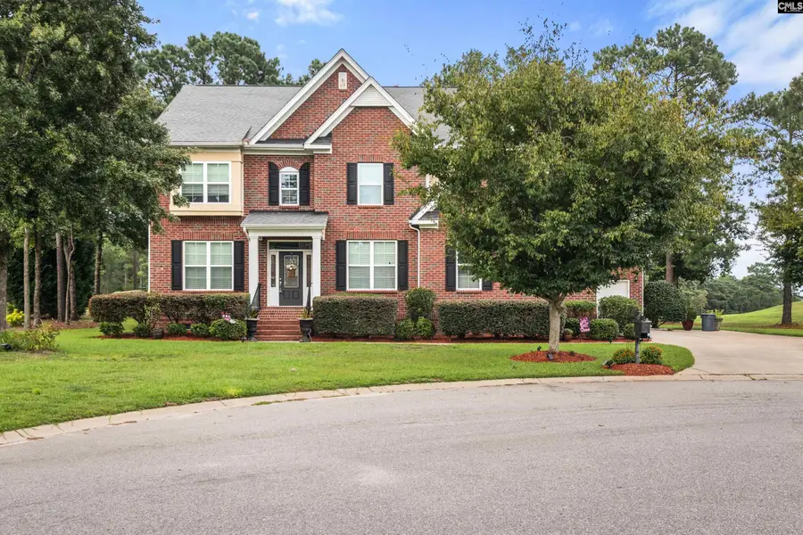 521 Patterdale Lane, Blythewood, SC 29016 - #3