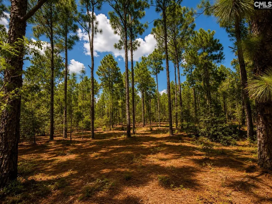 TBD Fairview Road #Parcel 1, Leesville, SC 29070 - #2