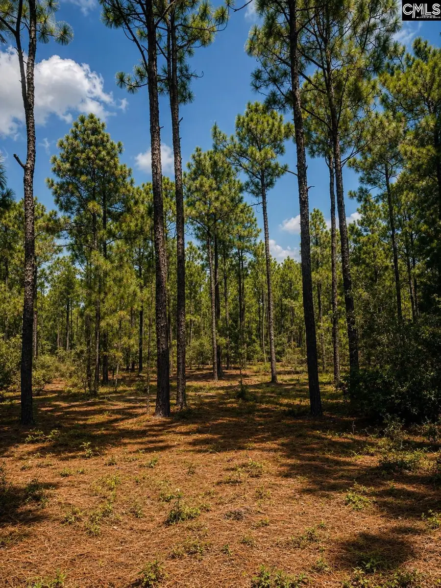 TBD Fairview Road #Parcel 1, Leesville, SC 29070 - #3