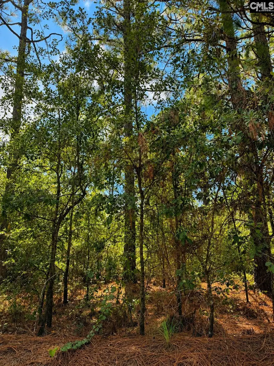 TBD Gantt Mill Road #Parcel 2, Leesville, SC 29070 - #2