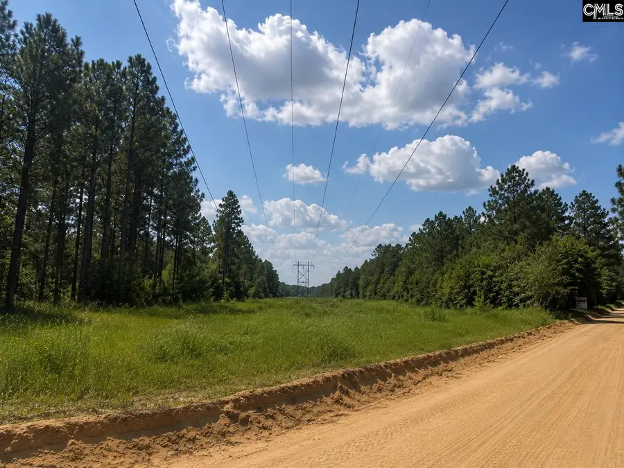 TBD Gantt Mill Road #Parcel 2, Leesville, SC 29070 - #3